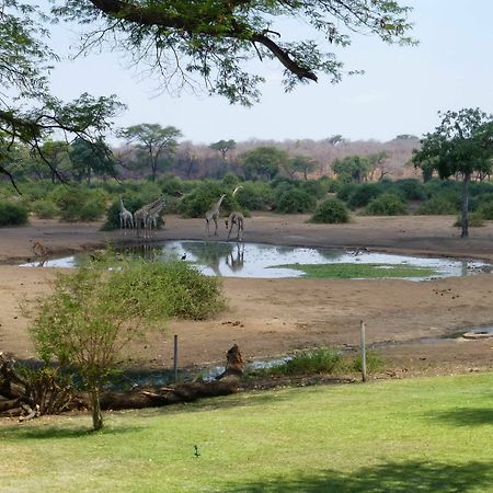 Elephant Valley Lodge Kasane Eksteriør billede