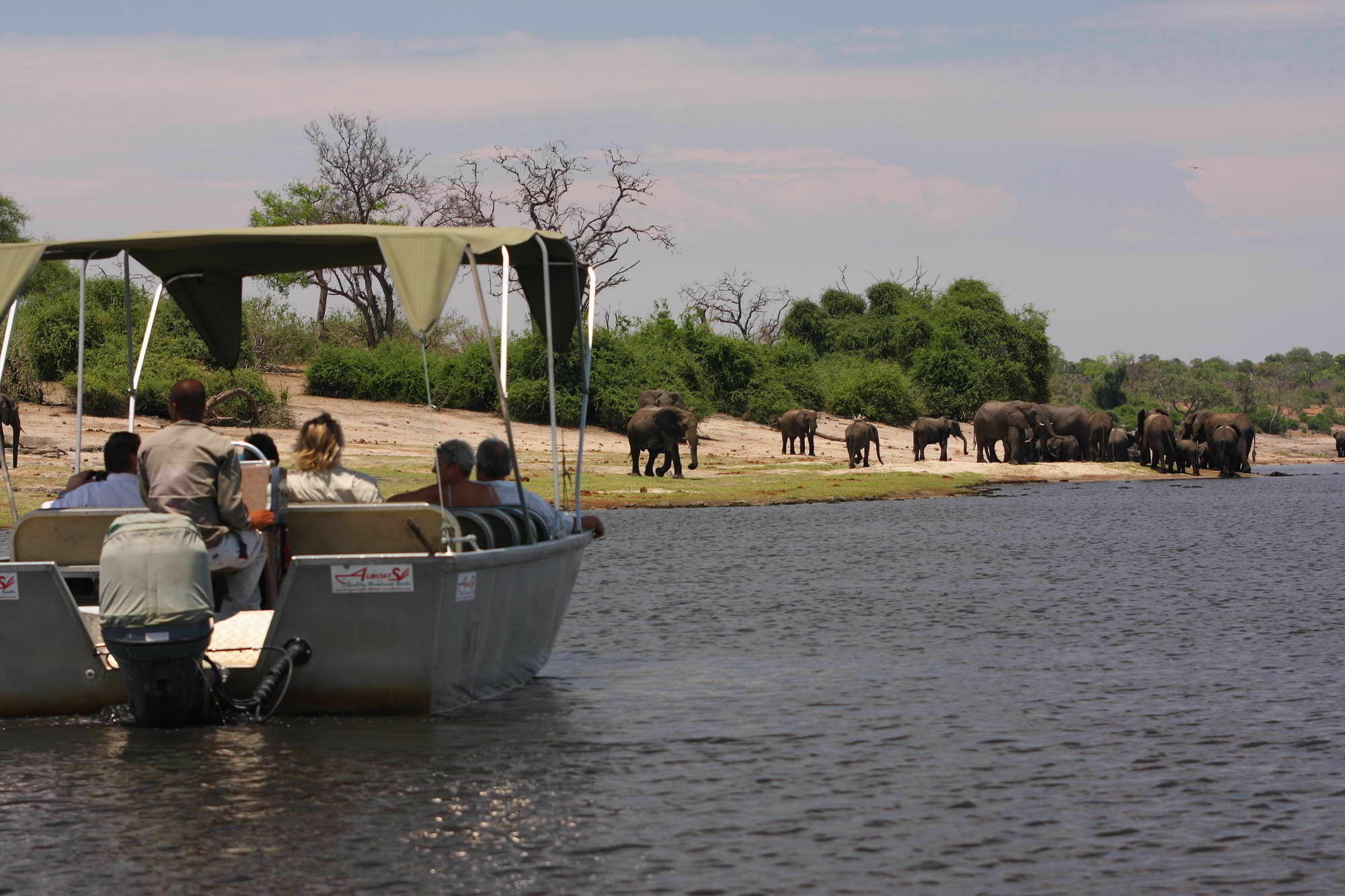 Elephant Valley Lodge Kasane Eksteriør billede